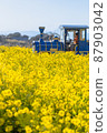 油菜花和藍色火車 87903042