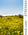 油菜花和天空，大海 87903044