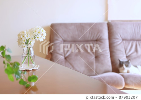 春天的花朵生活的圖像背景 87903207