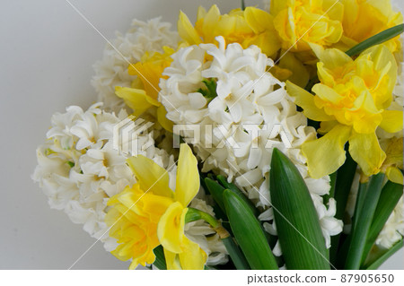 hyacinth and daffodils 87905650