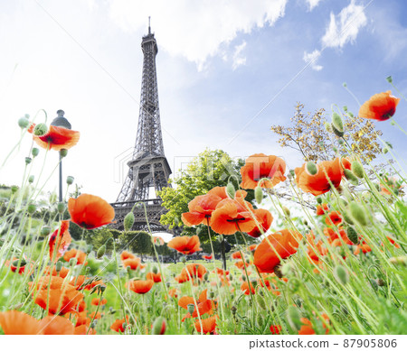 eiffel tour and Paris cityscape 87905806