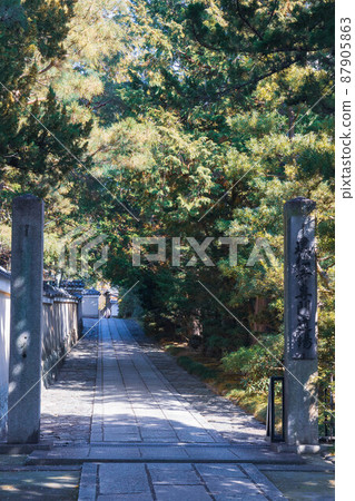 Kenninji Specialty Dojo "Kyoto Sightseeing" Kenninji Specialty Dojo "Kyoto Sightseeing" 87905863