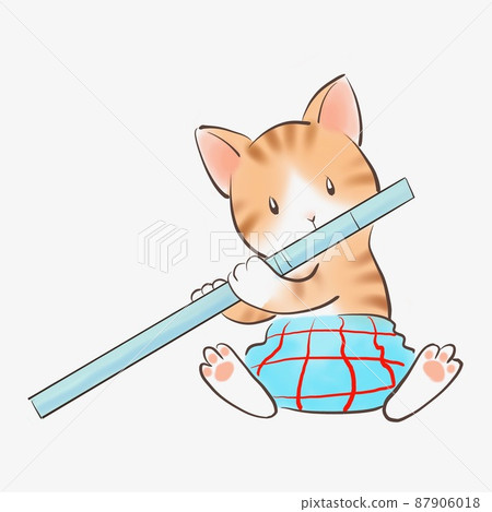 Flute cat-4 87906018