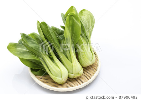 Bok choy on a colander_white background Bok choy on a colander_white background 87906492