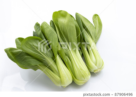 Bok choy_white background Bok choy_white background 87906496