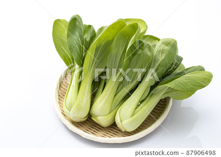 colander_white 背景上的白菜 87906498