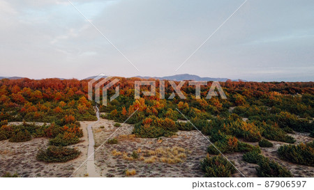 Aerial view of the Apuan Alps mountain range and autumn vegetation. 87906597