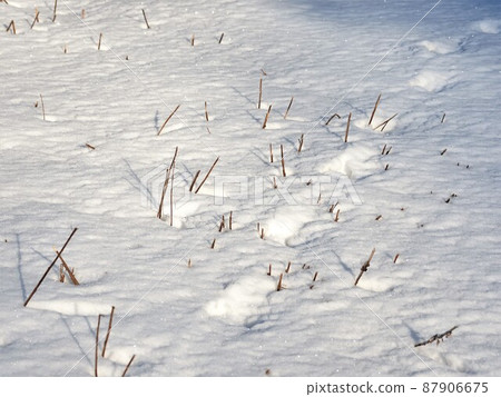 Northern Alps Hakuhamadake Northern Alps Hakuhamadake 87906675
