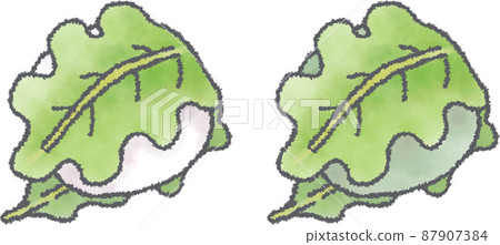 Illustration of kashiwa mochi (white / kusa mochi) 87907384