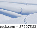 Winter Satoyama Snow Snow Surface Footprint Story Drama 87907582