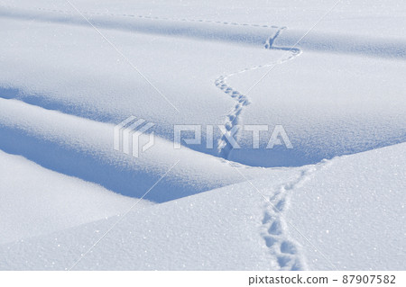 Winter Satoyama Snow Snow Surface Footprint Story Drama 87907582