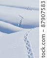 Winter Satoyama Snow Snow Surface Footprint Story Drama 87907583