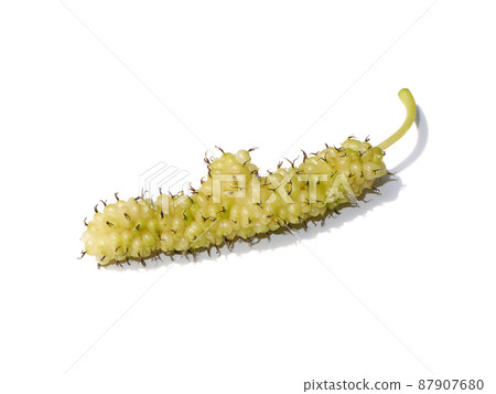 Close up yellow mulberry on white background. Close up yellow mulberry on white background. 87907680