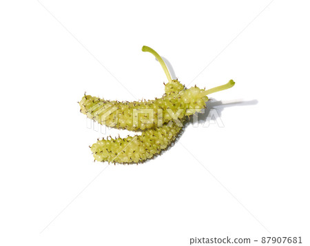Close up yellow mulberry on white background. Close up yellow mulberry on white background. 87907681