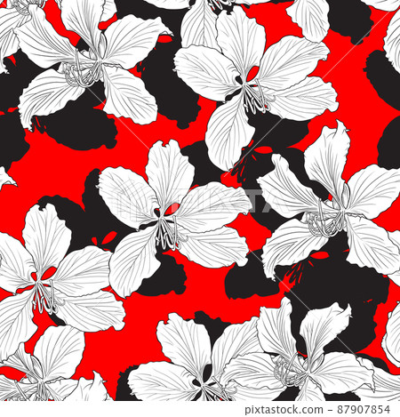 Bauhinia Purpurea pattern Bauhinia Purpurea pattern 87907854