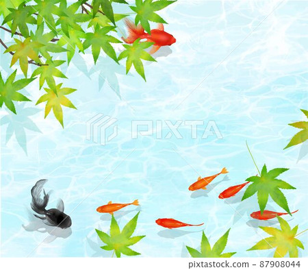 Vector summer frame material with beautiful design of water ripples where black and red goldfish and killifish swim gracefully in the water under the autumn leaves 87908044