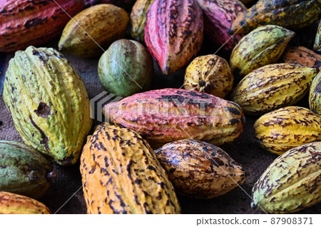 對，巧巧，五塊巧克力，六色，對，台灣屏東 87908371