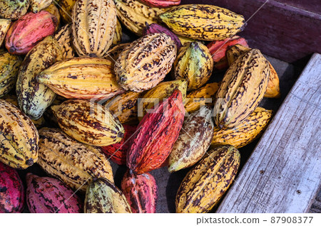 對，巧巧，五塊巧克力，六色，對，台灣屏東 87908377