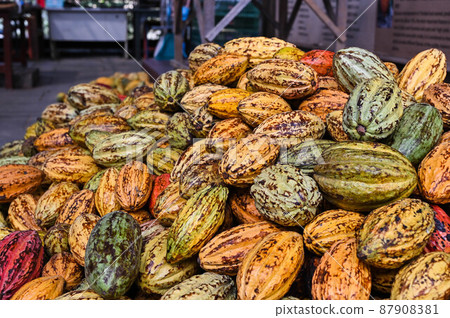 對，巧巧，五塊巧克力，六色，對，台灣屏東 87908381