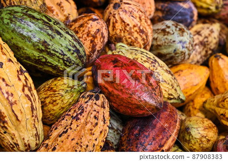 對，巧巧，五塊巧克力，六色，對，台灣屏東 87908383