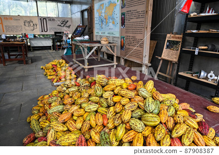 對，巧巧，五塊巧克力，六色，對，台灣屏東 87908387