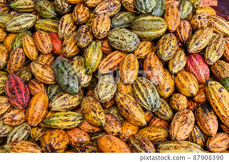 對，巧巧，五塊巧克力，六色，對，台灣屏東 87908390