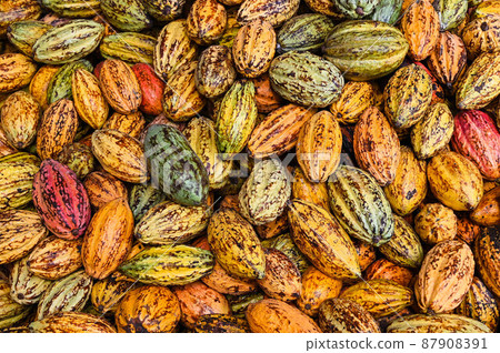 對，巧巧，五塊巧克力，六色，對，台灣屏東 87908391