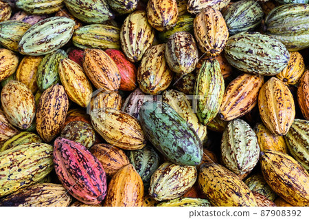 Yes, skillfulness, five chocolates, six colors, yes, Taiwan Pingtung Yes, skillfulness, five chocolates, six colors, yes, Taiwan Pingtung 87908392