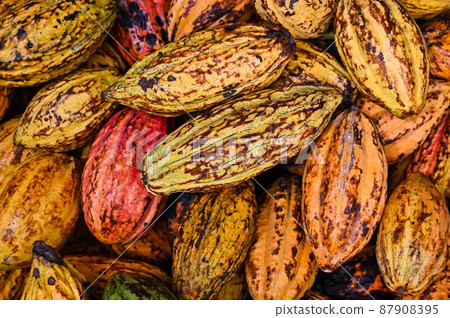 對,巧巧,五塊巧克力,六色,對,台灣屏東 對,巧巧,五塊巧克力,六色,對,台灣屏東 87908395