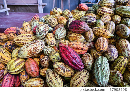 對，巧巧，五塊巧克力，六色，對，台灣屏東 87908398