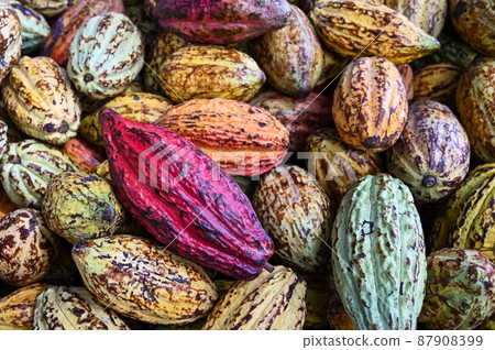 對，巧巧，五塊巧克力，六色，對，台灣屏東 87908399