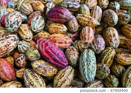 對，巧巧，五塊巧克力，六色，對，台灣屏東 87908400