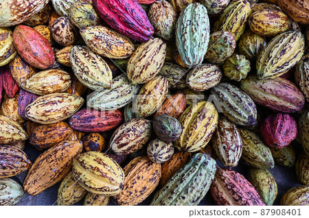 對，巧巧，五塊巧克力，六色，對，台灣屏東 87908401