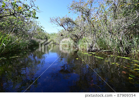 Turner River in Big Cypress National Preserve, Florida. Turner River in Big Cypress National Preserve, Florida. 87909354