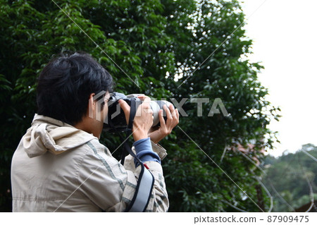 Back view Back view 87909475