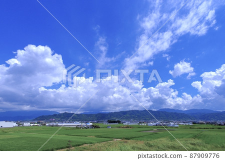 Summer sky Summer sky 87909776