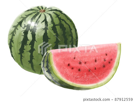 Hand drawn watermelon 87912559