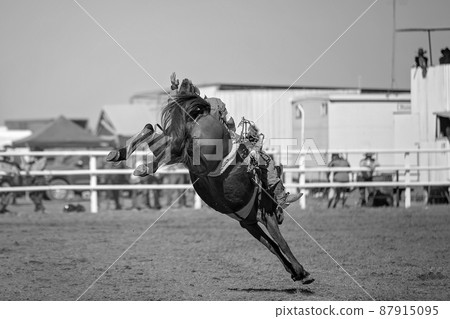 Bareback Bucking Bronc Riding At Country Rodeo Bareback Bucking Bronc Riding At Country Rodeo 87915095