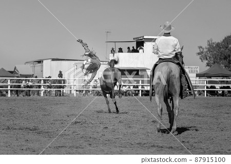 Bareback Bucking Bronc Riding At Country Rodeo 87915100