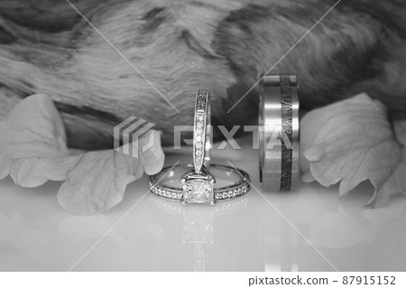 Diamond Wedding And Engagement Rings 87915152