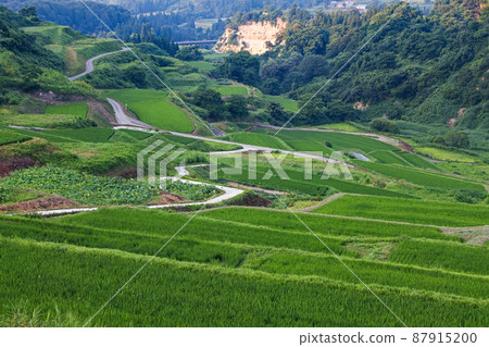 山形縣/夏季“鹿村梯田”（鹿村梯田/豐牧梯田）日本100個梯田 87915200