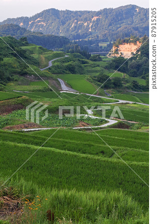 Yamagata Prefecture / Summer "Shikamura Rice Terraces" (Shikamura Rice Terraces / Toyomaki Rice Terraces) 100 Rice Terraces in Japan Yamagata Prefecture / Summer "Shikamura Rice Terraces" (Shikamura Rice Terraces / Toyomaki Rice Terraces) 100 Rice Terraces in Japan 87915205