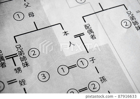 顯示親屬關係範圍的平等父圖，繼承圖像 87916633