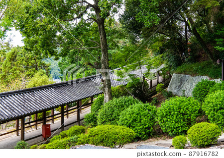 Kibitsu Shrine, Okayama City, Okayama Prefecture-Corridor- Kibitsu Shrine, Okayama City, Okayama Prefecture-Corridor- 87916782