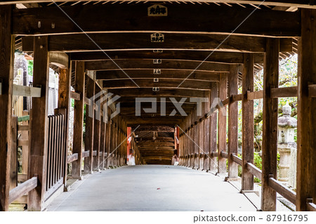 Kibitsu Shrine, Okayama City, Okayama Prefecture-Corridor- 87916795