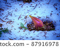 Rice bran 87916978