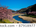 Cherry blossoms along the river 87918977
