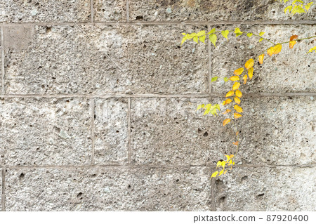 Outer wall Outer wall 87920400