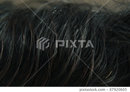 Close up of the mane of a black horse 87920605