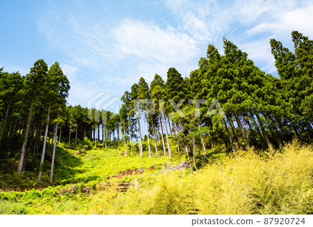 Please see the beautiful scenery of the Chugoku Mountains. It is also a site for nature conservation that is planted and managed. Shimane Prefecture 87920724